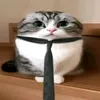 sudoooochek