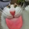 aehlzzz_