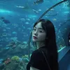 chi1m7