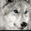 user8eu93a5qup