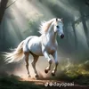 user9192012241075