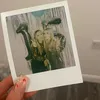 gracesherryx