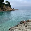 solan_solan