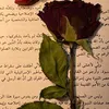aass_020