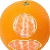 grapefruitmash