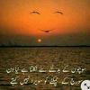 sumairaimran206