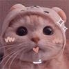 hanhan_1022