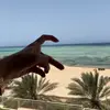bxim77