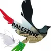 786shameen
