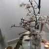 mercrespomame