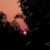 wyyi_1shy1