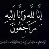 shapolydarya1