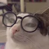 ticksats