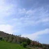 meriamelh77