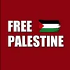 user.31122005