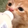 __140347