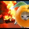 elgatitopana