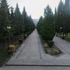 hesenovcavid90gmail