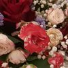 salme.mohammed