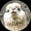 yadierbenavidezal