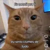 lunarbatata