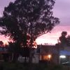 anamariabutoprr