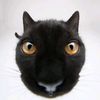 six_foot_hole
