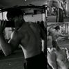elreal_2722