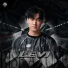GAM Levi