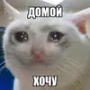 bodyafilatov