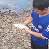 sabong_38