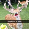 nostraconspirateur