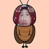 bomaycantat9
