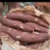 sambeltrasilawuhgerih