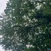 rikaodayo0628