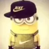mistr_svin