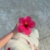 noofrashed683
