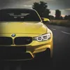 daniel_walker5
