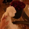 wcizn