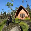 andinimutiaradewii