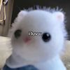 maiixr_xi2_