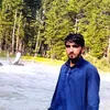 ghani8277