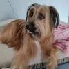 ma_ralcaide