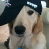 gagagahhwy