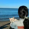 p_tato06