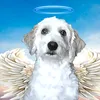 axel_wiki13