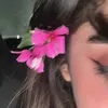 maha_mcr