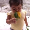 nurdianaina0