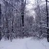 lexa_3661