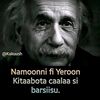 user6428933905597
